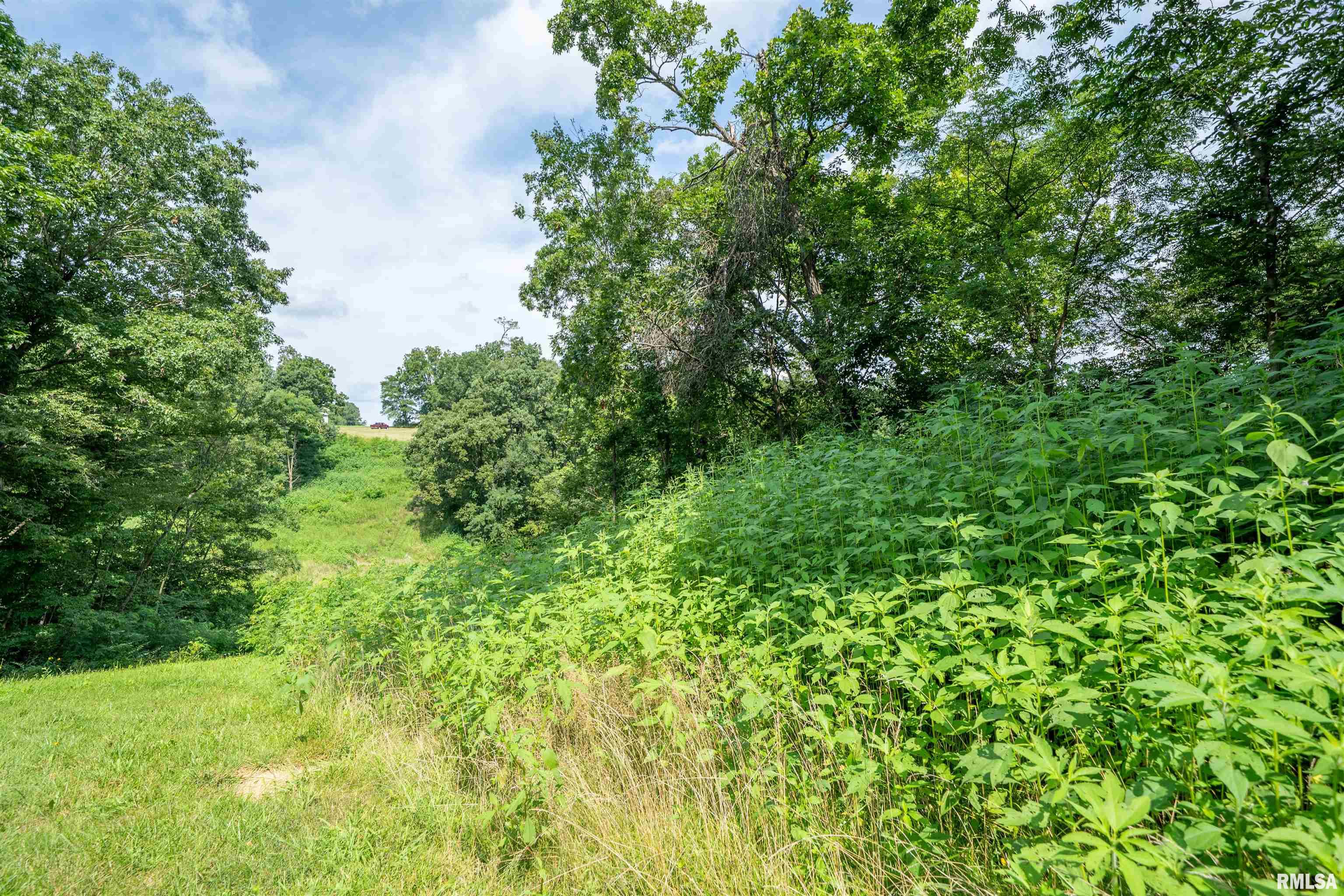 Country View Drive Peoria, IL 61604 - Photo 10 of 11