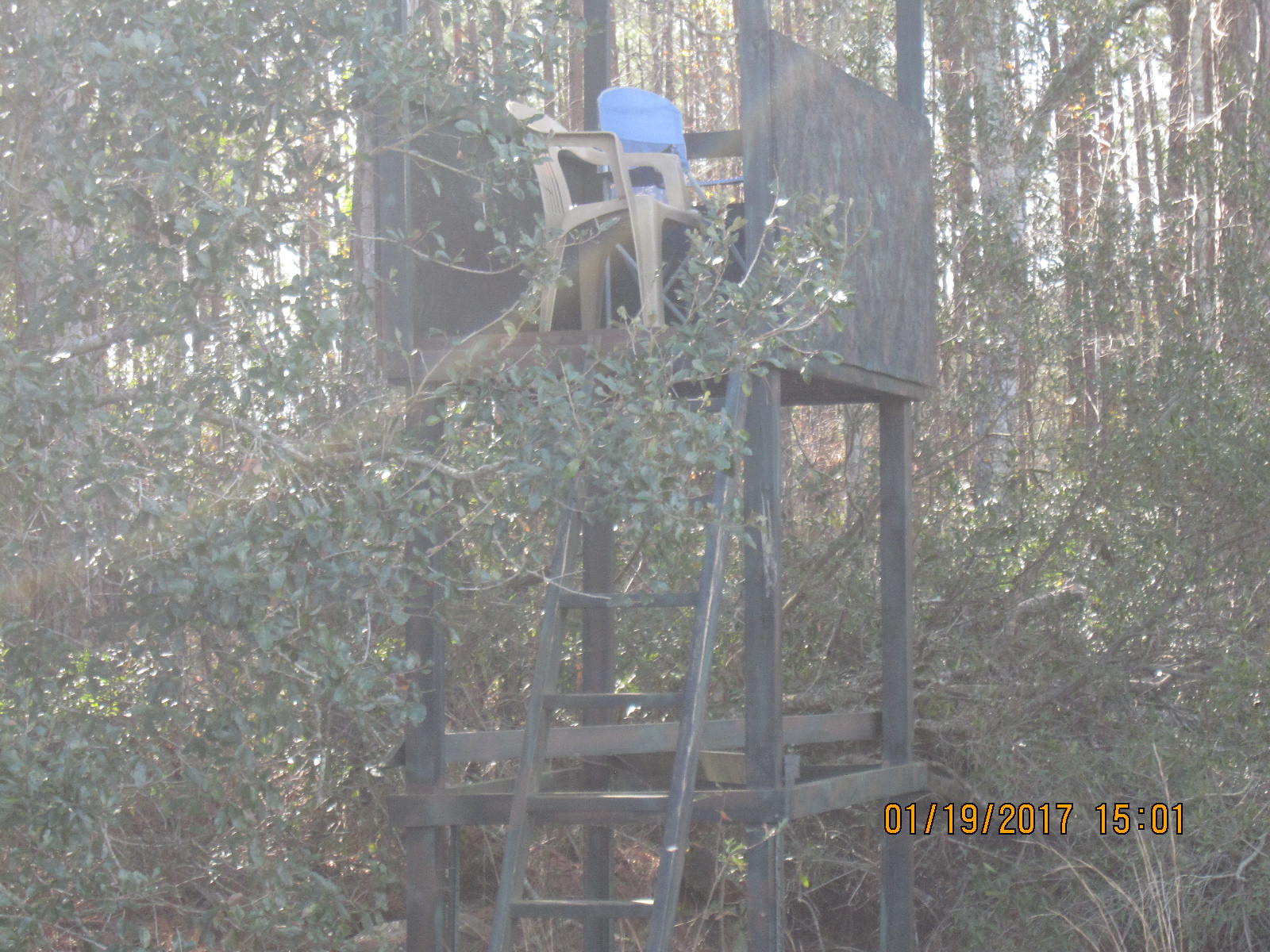 1105 Ashton Road Islandton, SC 29929 - Photo 20 of 32 IMG_6125