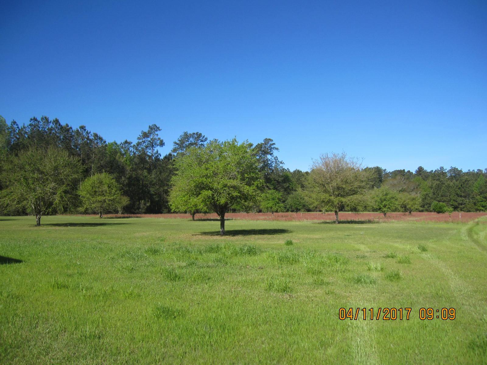 1105 Ashton Road Islandton, SC 29929 - Photo 22 of 32 IMG_7405