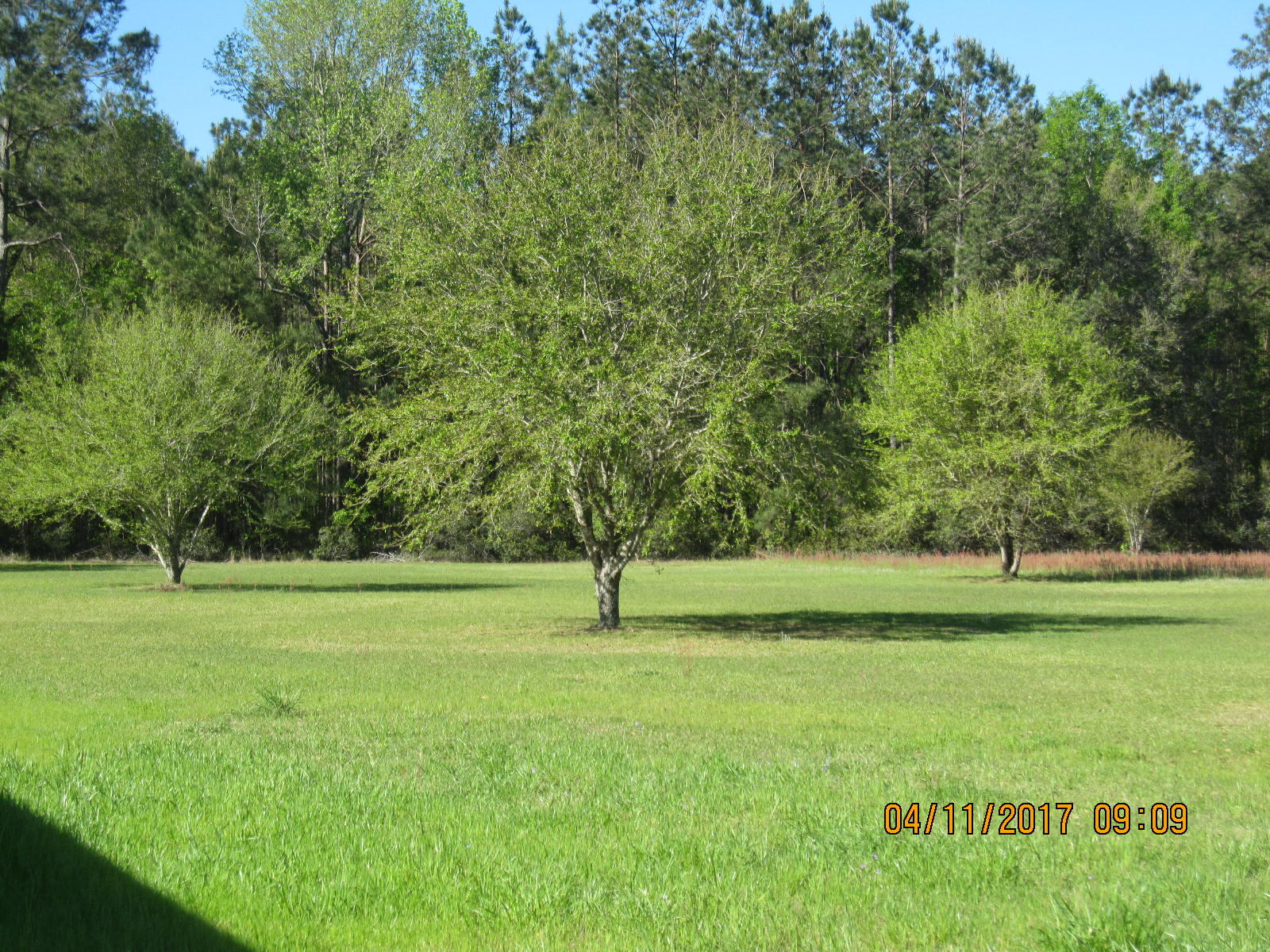 1105 Ashton Road Islandton, SC 29929 - Photo 23 of 32 IMG_7406