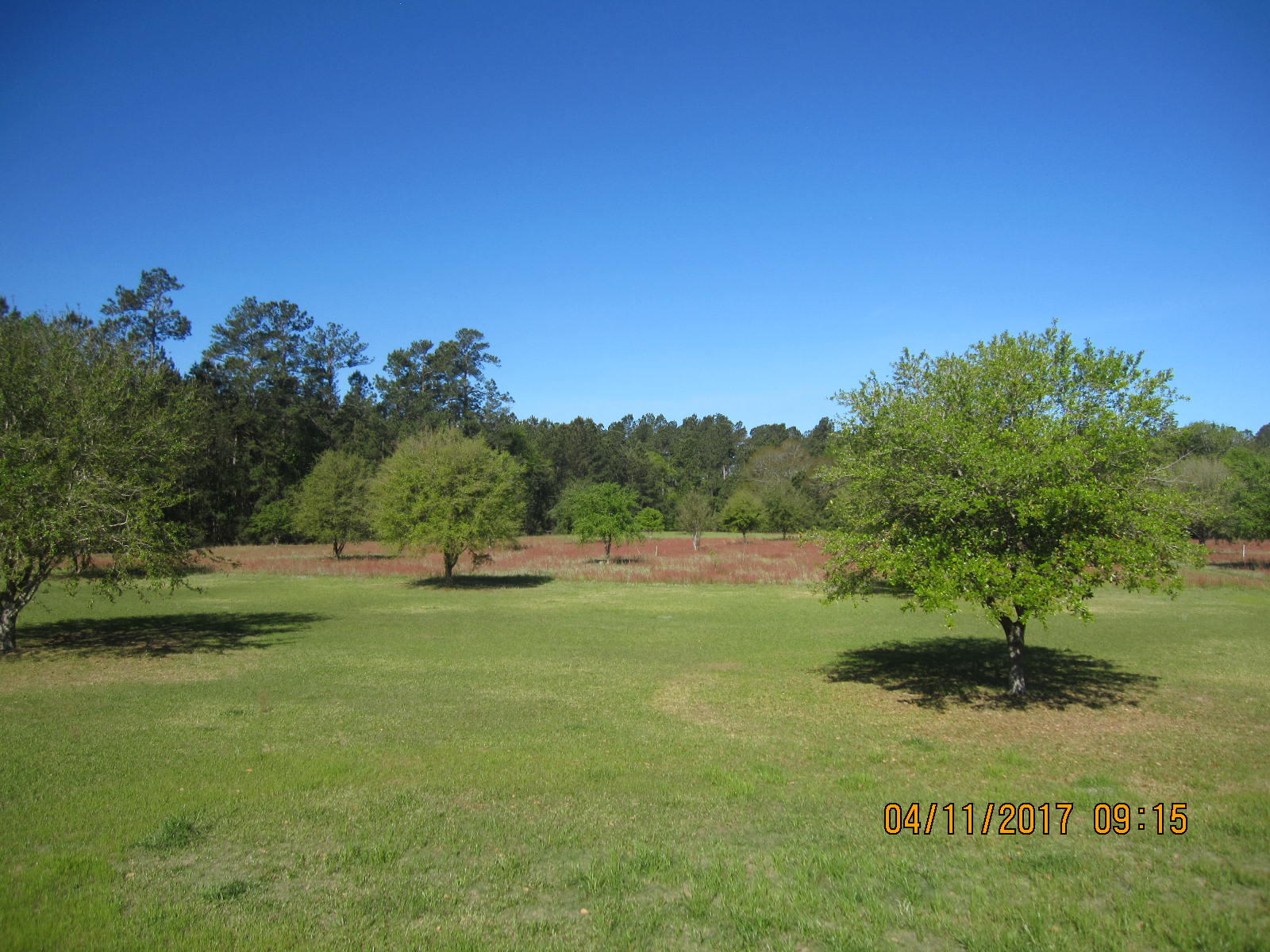 1105 Ashton Road Islandton, SC 29929 - Photo 24 of 32 IMG_7412