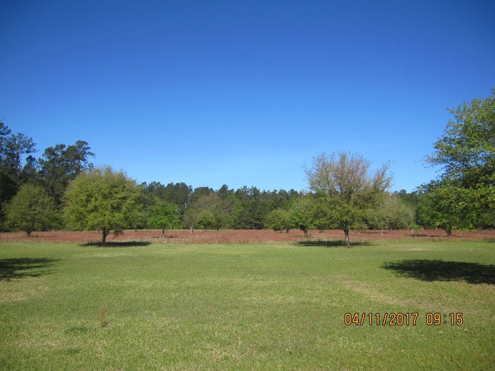1105 Ashton Road Islandton, SC 29929 - Photo 25 of 32 IMG_7413