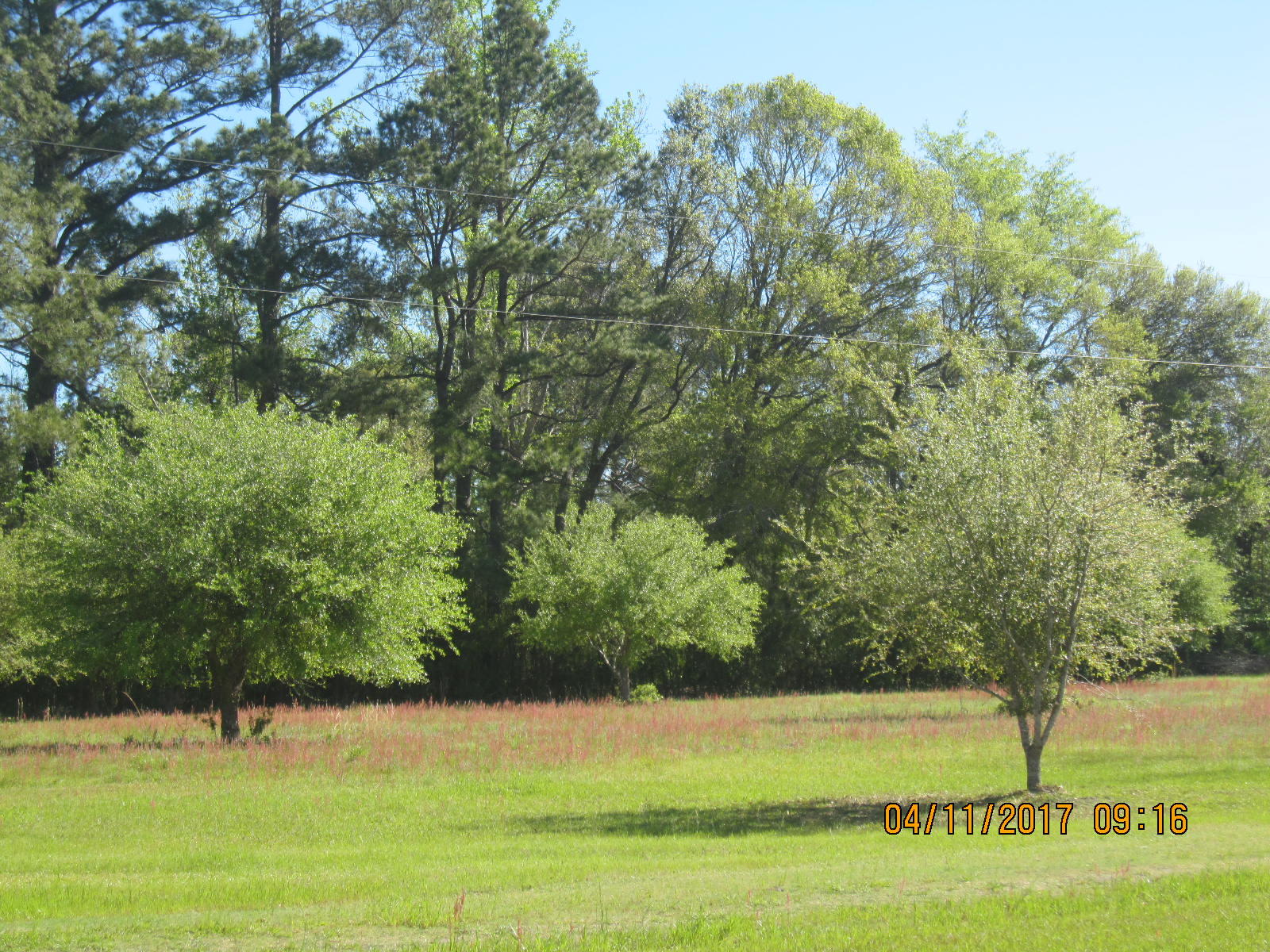 1105 Ashton Road Islandton, SC 29929 - Photo 27 of 32 IMG_7419