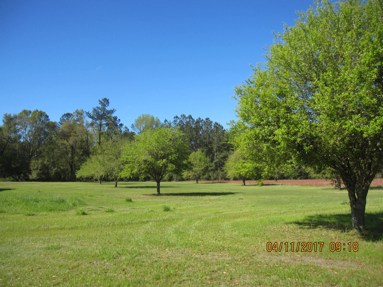 1105 Ashton Road Islandton, SC 29929 - Photo 28 of 32 IMG_7426