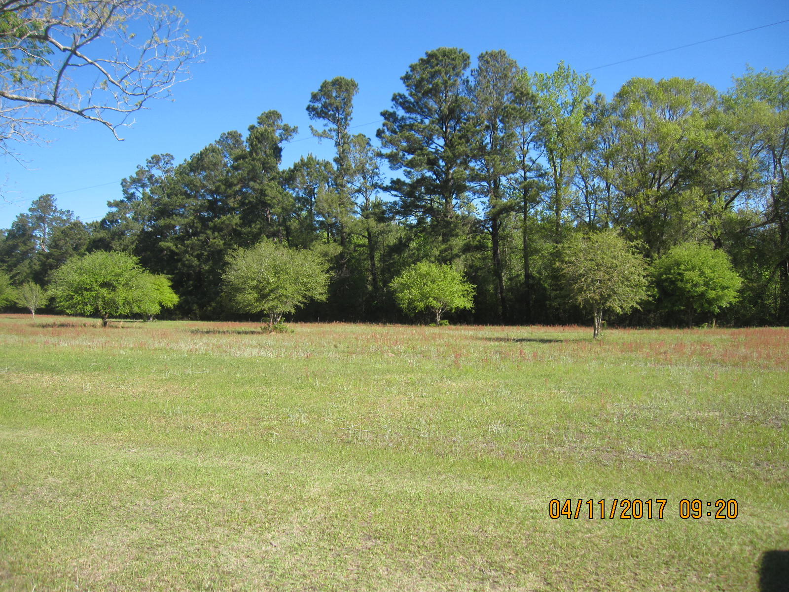 1105 Ashton Road Islandton, SC 29929 - Photo 30 of 32 IMG_7431