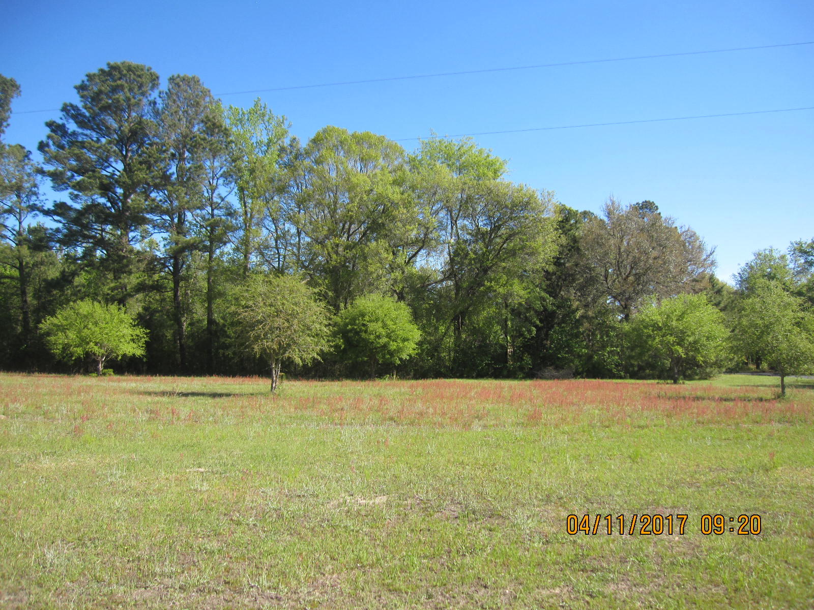 1105 Ashton Road Islandton, SC 29929 - Photo 31 of 32 IMG_7432