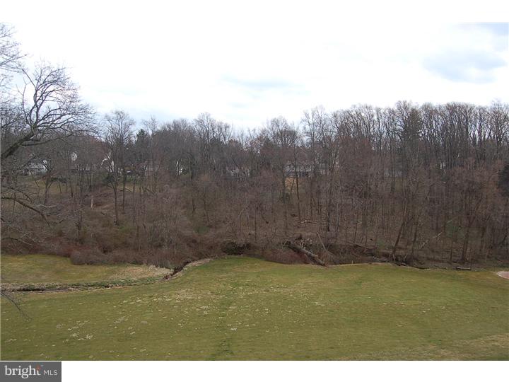 446 Brandon Road Jeffersonville, PA 19403 - Photo 12 of 12 View in Back