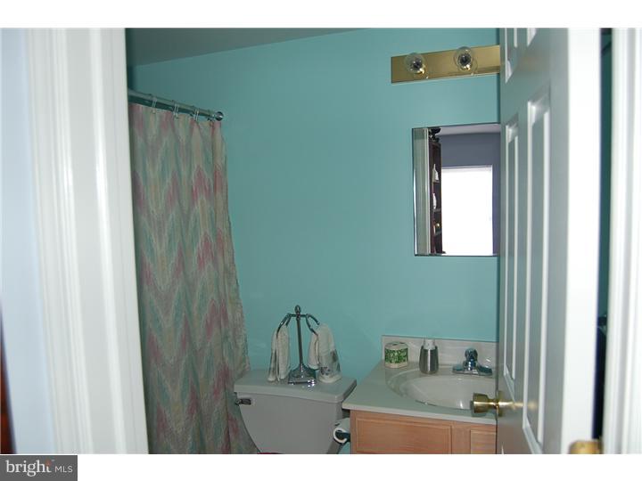 446 Brandon Road Jeffersonville, PA 19403 - Photo 8 of 12 Bathroom