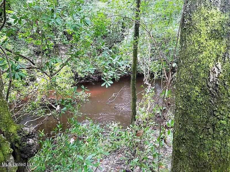 18153 Doc Lizana Road Gulfport, MS 39503 - Photo 38 of 41 18153 39