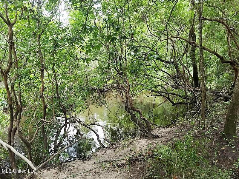 18153 Doc Lizana Road Gulfport, MS 39503 - Photo 40 of 41 18153 41