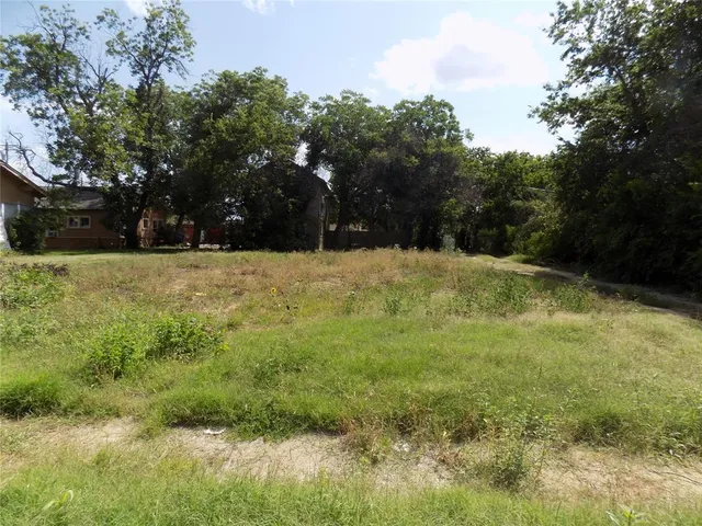 a yard with trees in the background