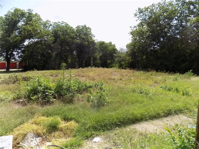 a view of a yard with a tree