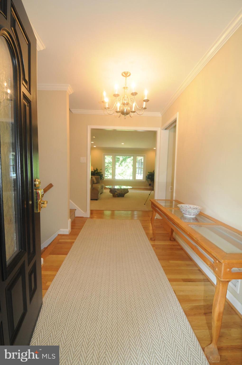 7821 Elba Road Alexandria, VA 22306 - Photo 46 of 54 COME ON OUTSIDE TO SEE THE YARD
