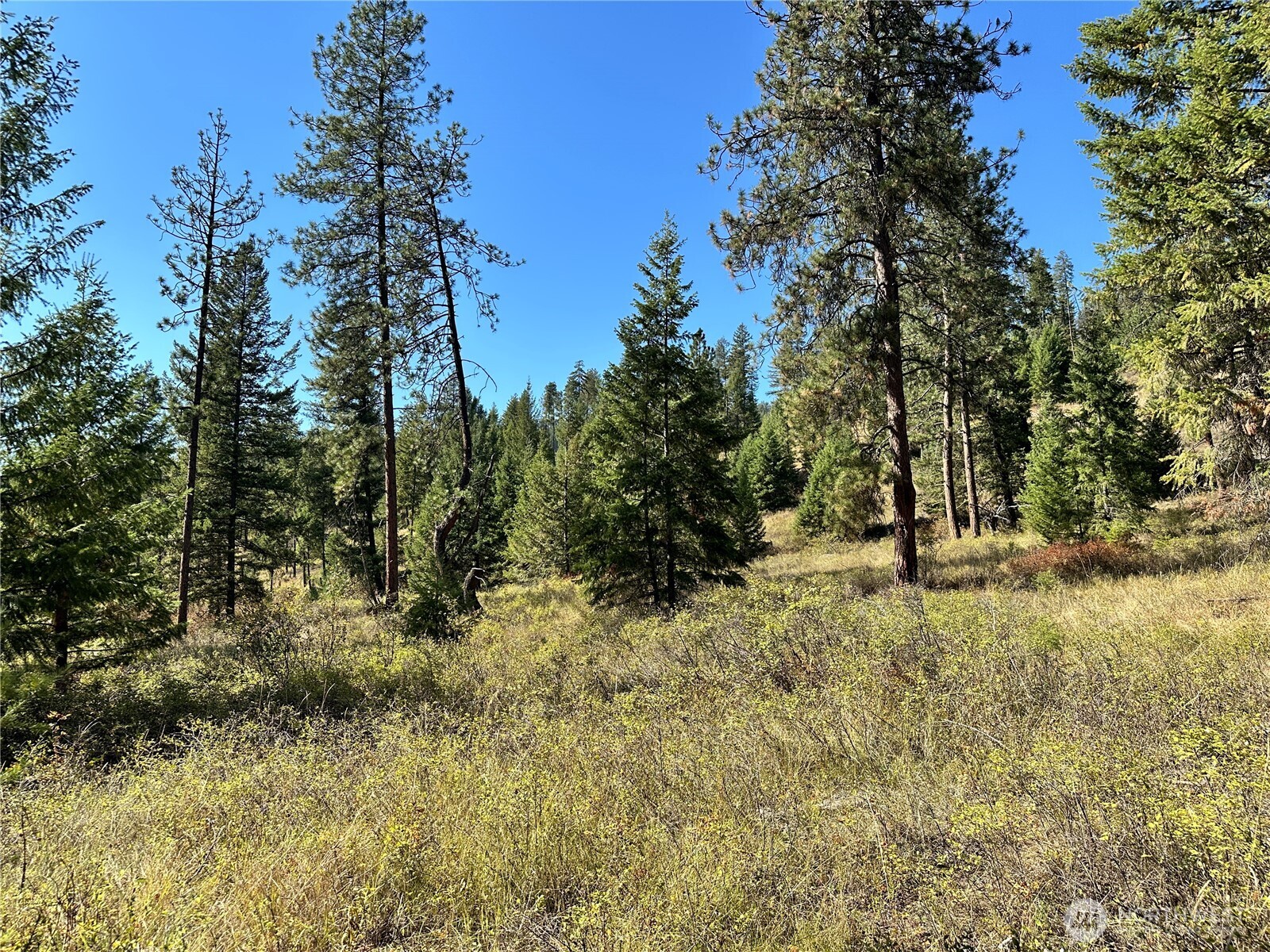 1 Deadman Creek Road Kettle Falls, WA 99141 - Photo 10 of 21 Gallery Image 10