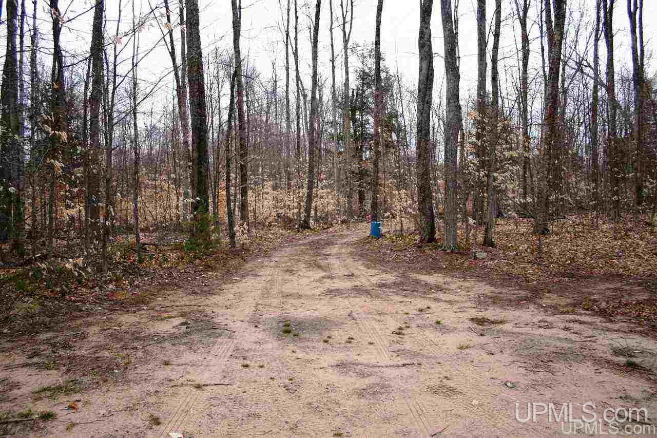 N179 North Round Lake Road Wetmore, MI 49895 - Photo 28 of 40 Gallery Image 28