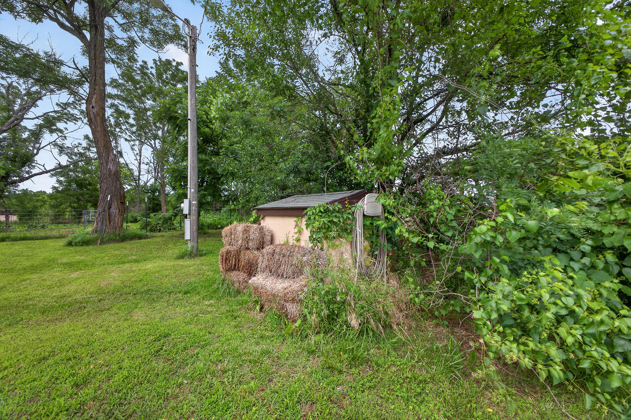 2081 Sand Ridge Road Marshfield, MO 65706 - Photo 37 of 61 Storage shed