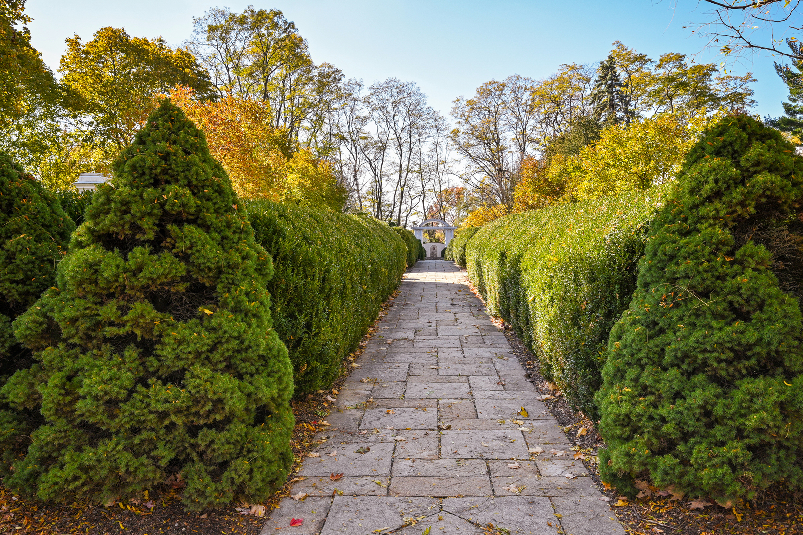 1015 Creekside Drive Wheaton, IL 60189 - Photo 27 of 28