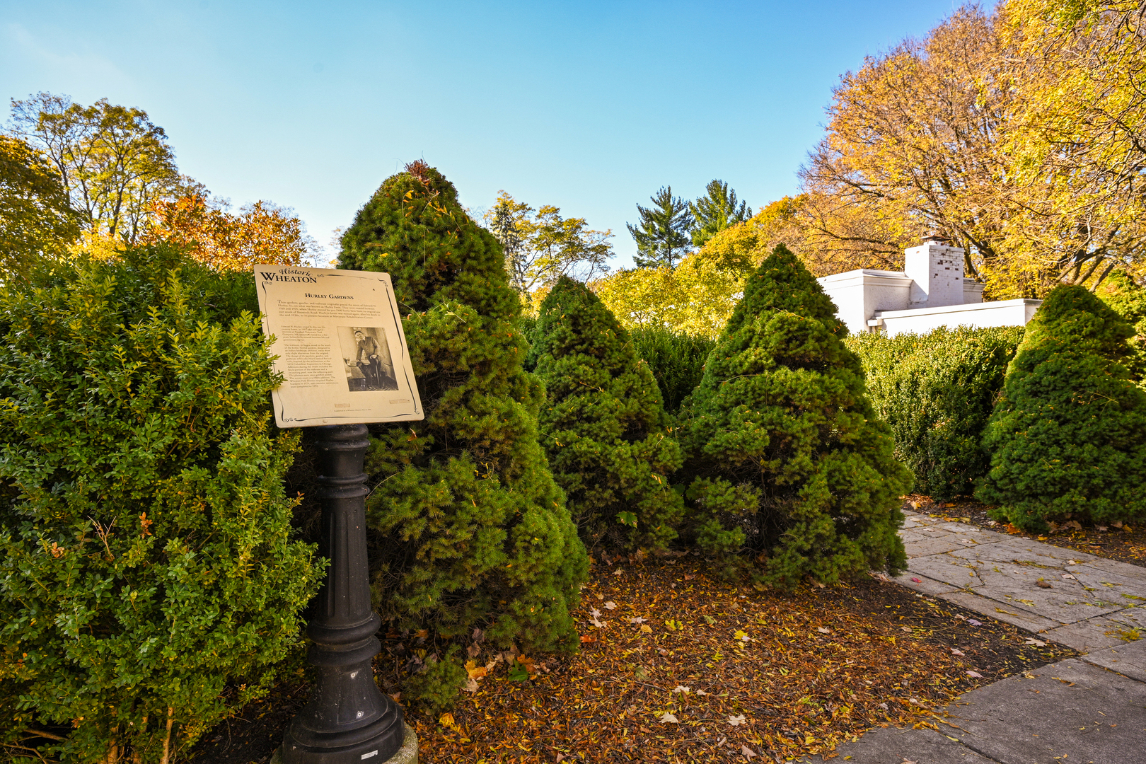 1015 Creekside Drive Wheaton, IL 60189 - Photo 28 of 28