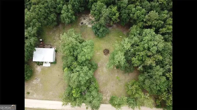 a view of backyard with large trees