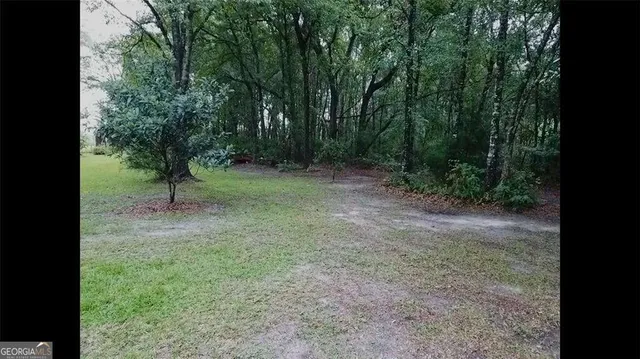 a view of backyard with green space
