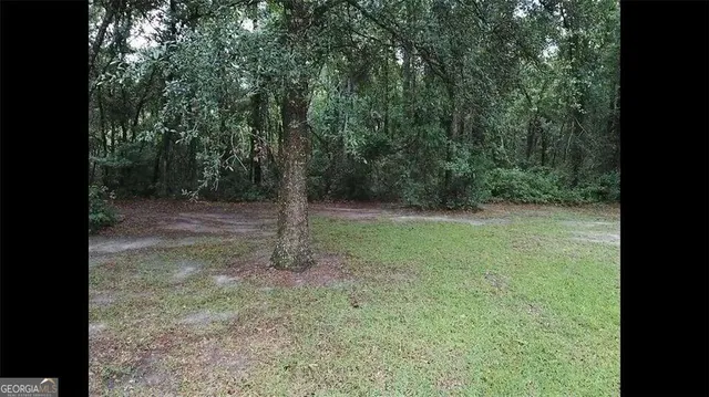 a view of a tree in the middle of a yard