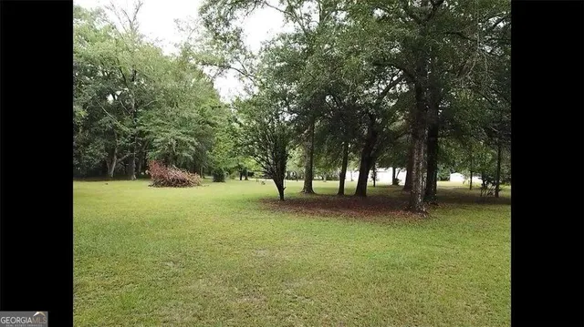 a picture of a tree in a field