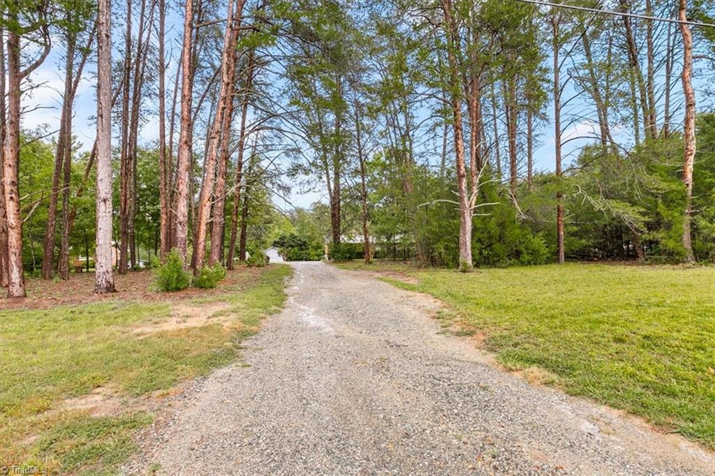 5822 Ruralview Road Gibsonville, NC 27249 - Photo 35 of 35 Gravel drive lined with tall pines
