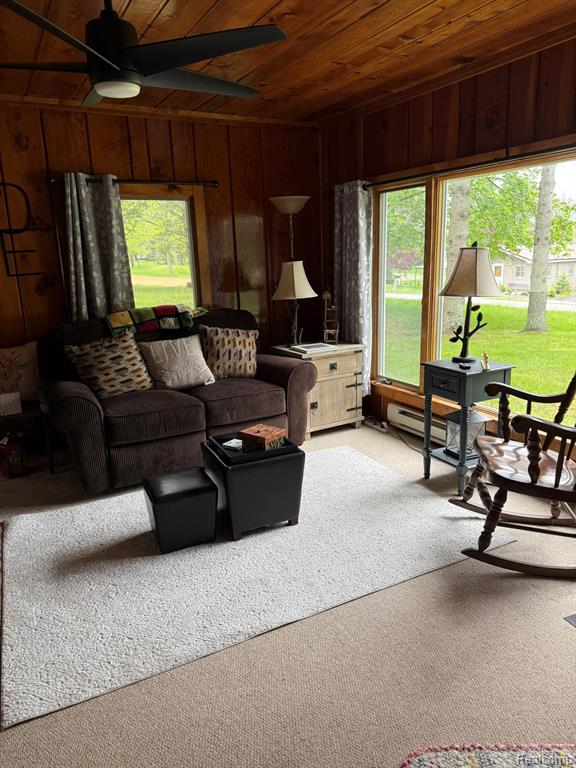 4348 Shrew Road Lincoln, MI 48742 - Photo 3 of 17