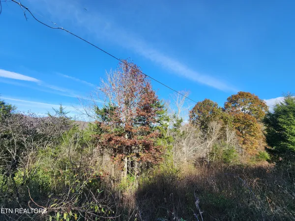 $19,000 | Shuler Drive, Pennington Gap, VA 24277