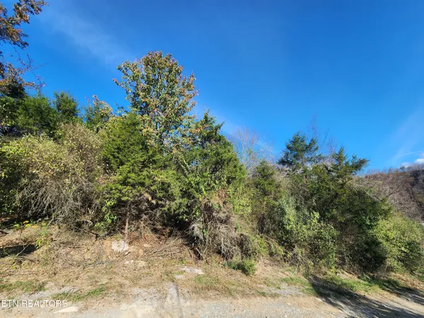 $19,000 | Shuler Drive, Pennington Gap, VA 24277