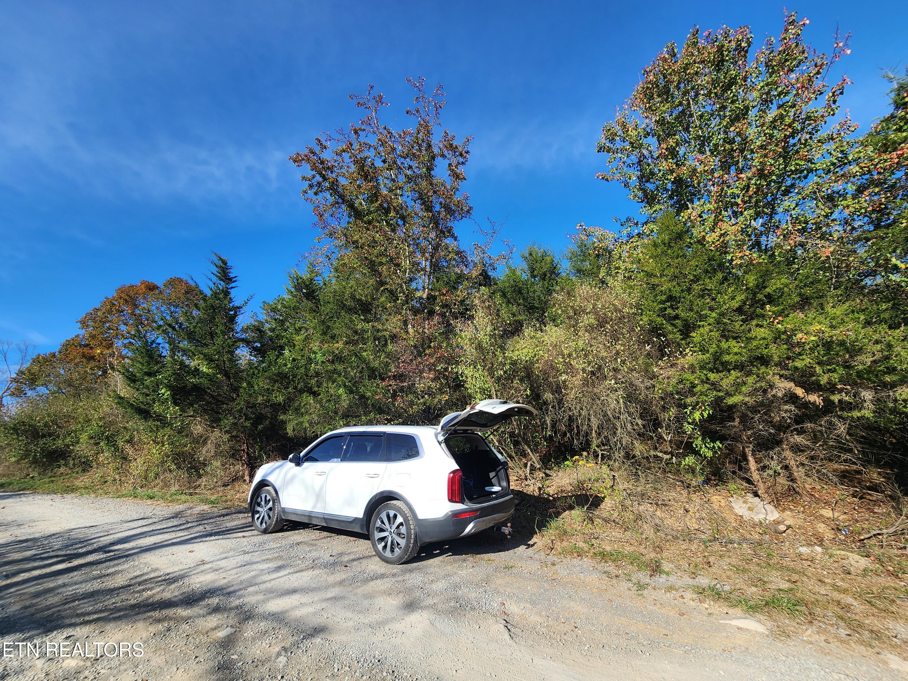 Shuler Drive Pennington Gap, VA 24277 - Photo 13 of 14 20241108_144554