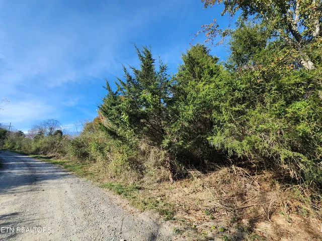 $19,000 | Shuler Drive, Pennington Gap, VA 24277