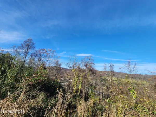 $19,000 | Shuler Drive, Pennington Gap, VA 24277