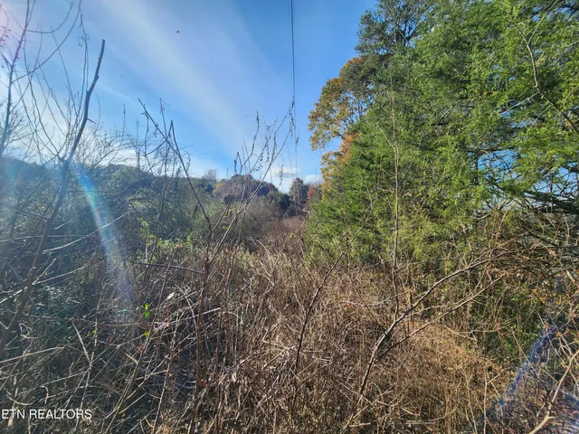 $19,000 | Shuler Drive, Pennington Gap, VA 24277