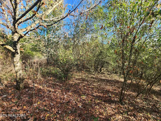 $19,000 | Shuler Drive, Pennington Gap, VA 24277