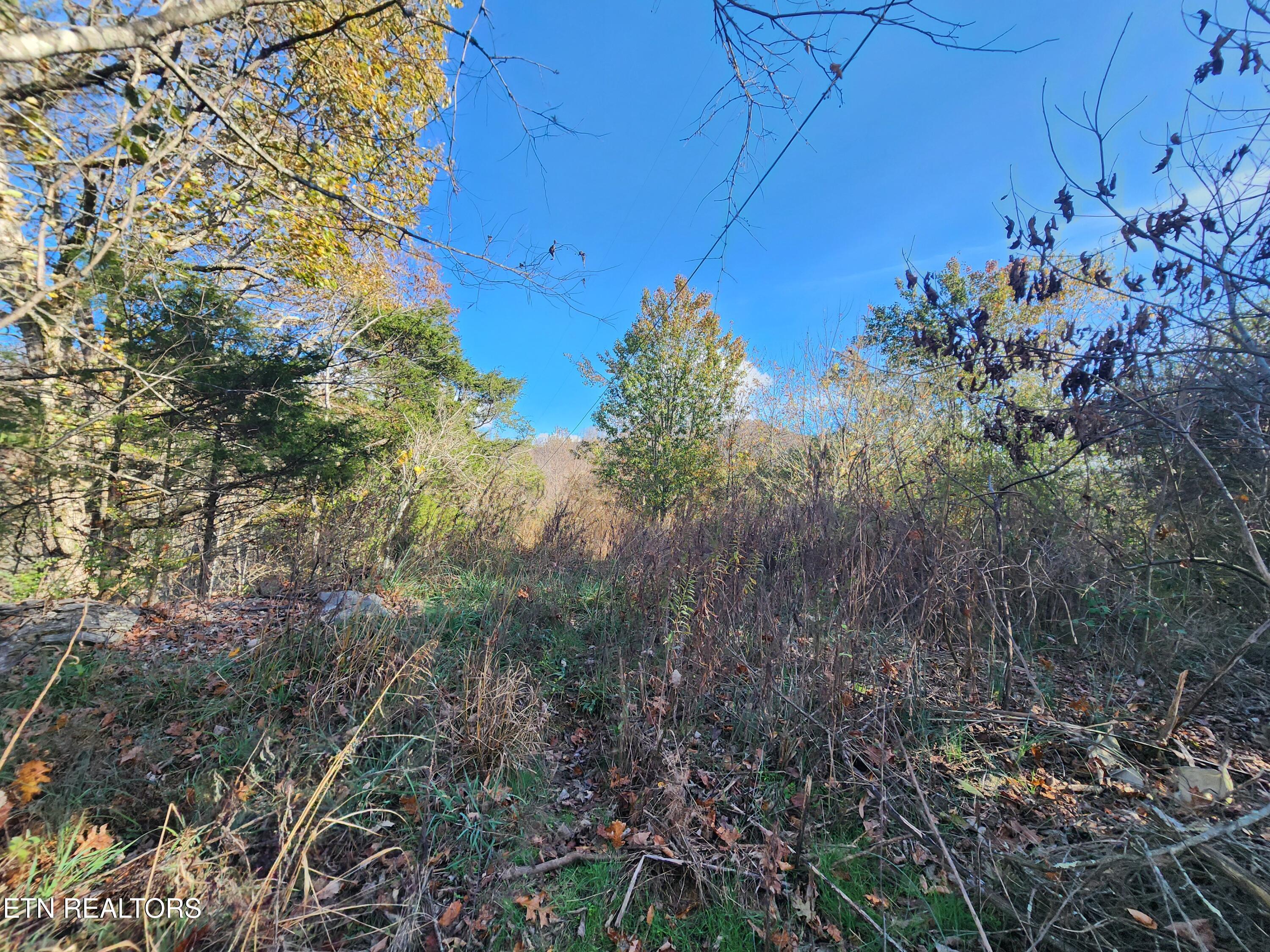 Shuler Drive Pennington Gap, VA 24277 - Photo 8 of 14 20241108_144207