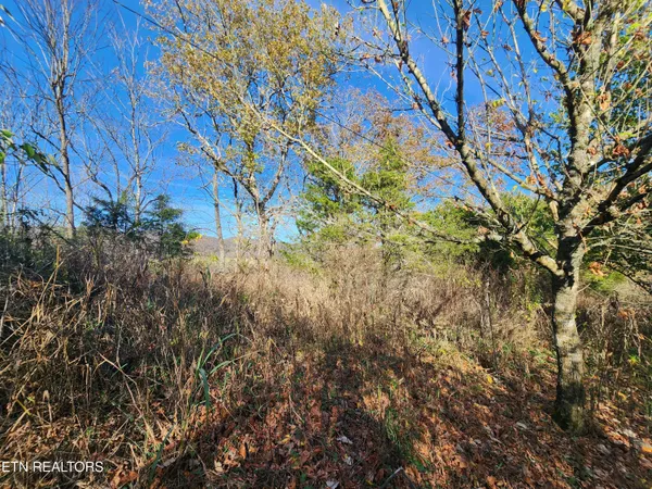 $19,000 | Shuler Drive, Pennington Gap, VA 24277