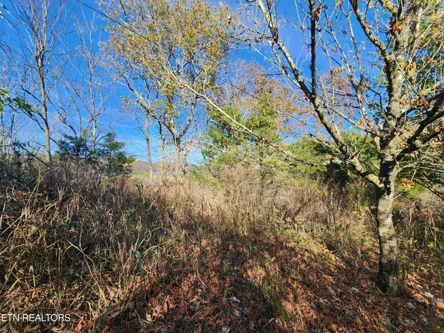 $19,000 | Shuler Drive, Pennington Gap, VA 24277