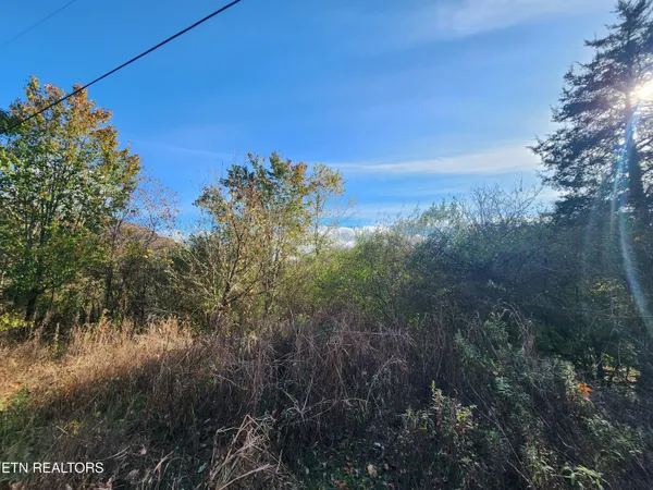 $19,000 | Shuler Drive, Pennington Gap, VA 24277