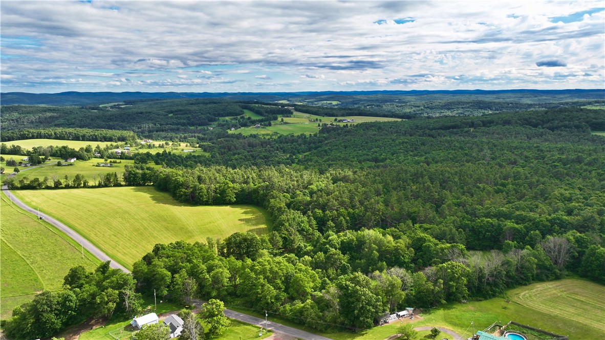 Case Road Bainbridge, NY 13733 - Photo 8 of 13