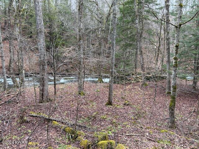 141 Creamery Road Pleasant Mount, PA 18453 - Photo 21 of 23 CF4CC554-4DD4-4276-B988-42E56D95357F
