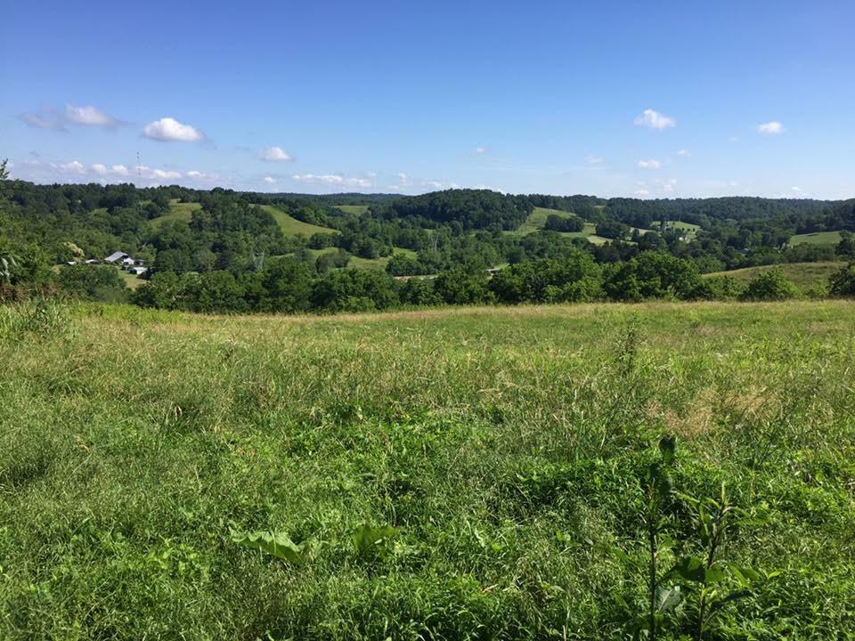 1 Yokley Road Lynnville, TN 38472 - Photo 13 of 13 Gallery Image 13