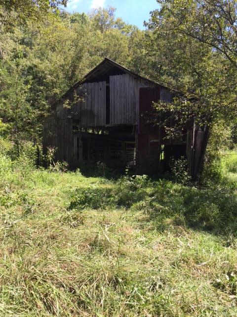 1 Yokley Road Lynnville, TN 38472 - Photo 2 of 13 Gallery Image 2