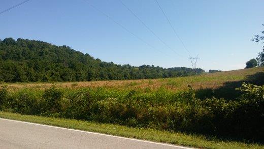 1 Yokley Road Lynnville, TN 38472 - Photo 3 of 13 Gallery Image 3