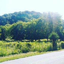 1 Yokley Road Lynnville, TN 38472 - Photo 6 of 13 Gallery Image 6