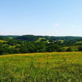 1 Yokley Road Lynnville, TN 38472 - Photo 7 of 13 Gallery Image 7