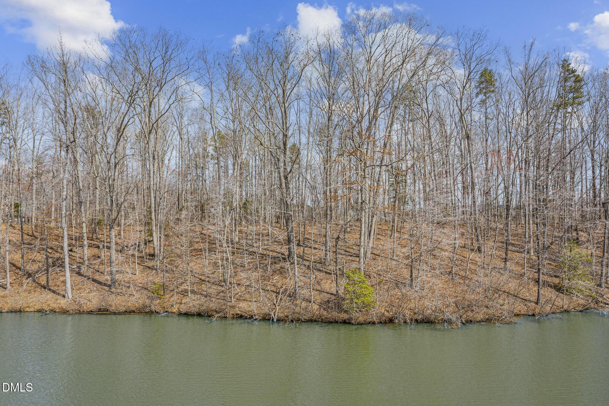 641 Fishermans Point Road Roxboro, NC 27574 - Photo 11 of 12