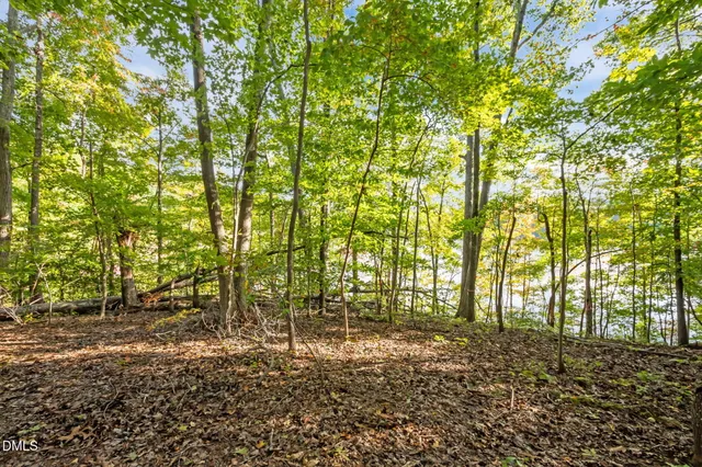 a view of outdoor space and tree