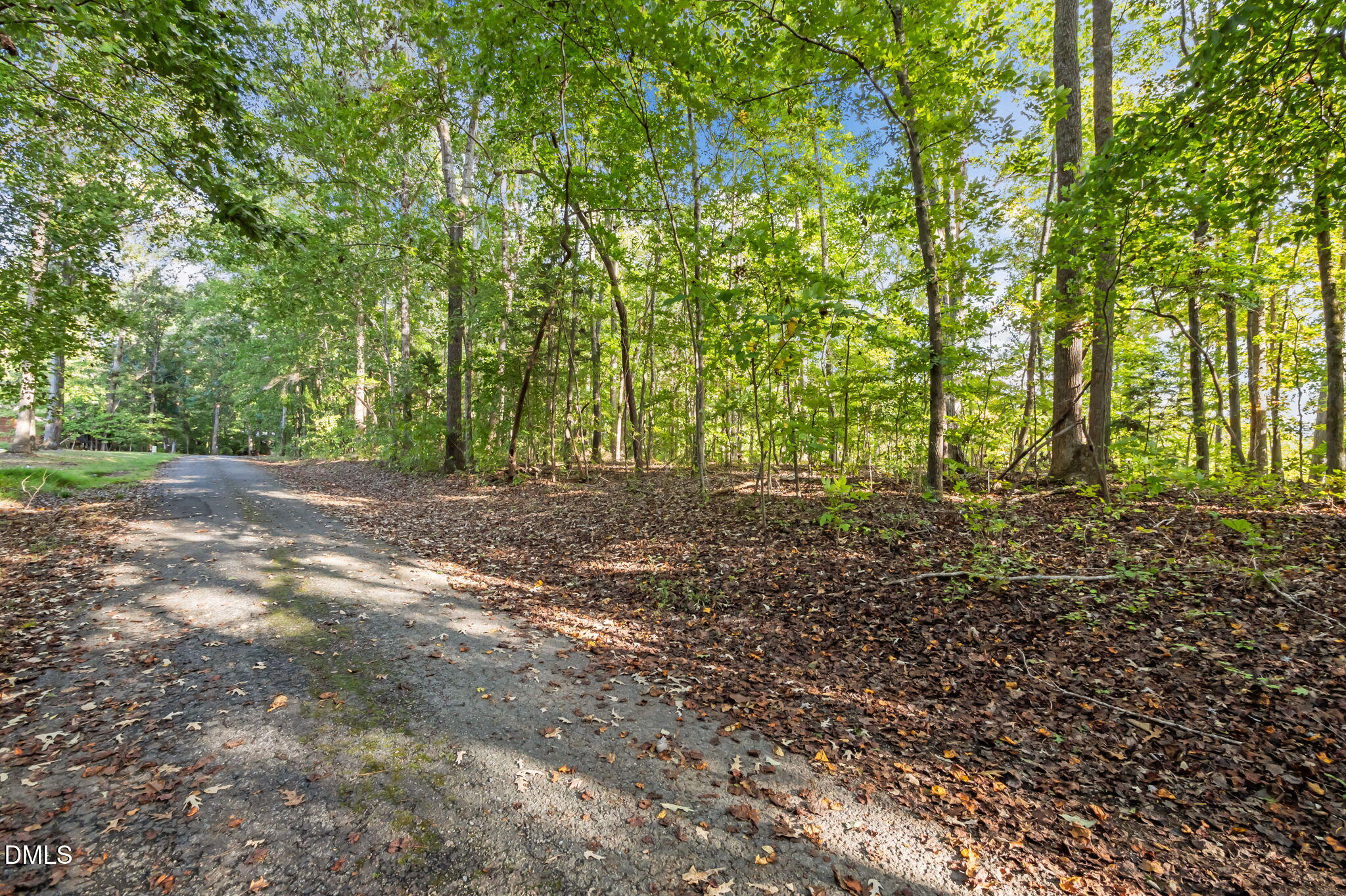 641 Fishermans Point Road Roxboro, NC 27574 - Photo 8 of 12 a view of outdoor space and tree
