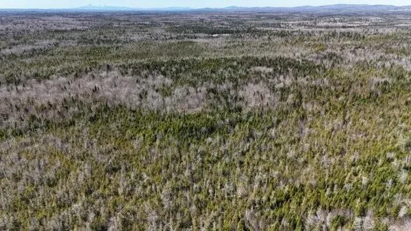 $244,340 | Undisclosed Address, Orient, ME 04471